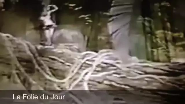 Biography of Josephine Baker