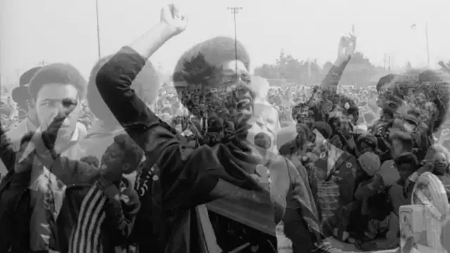 History Brief: the Black Panther Party